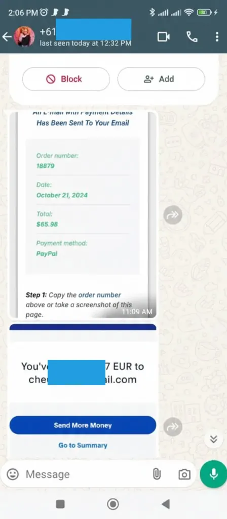 WhatsApp chat: order paid and login details delivered